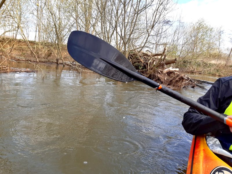 Kanutour Lippe - links am Ufer ein Biberbau